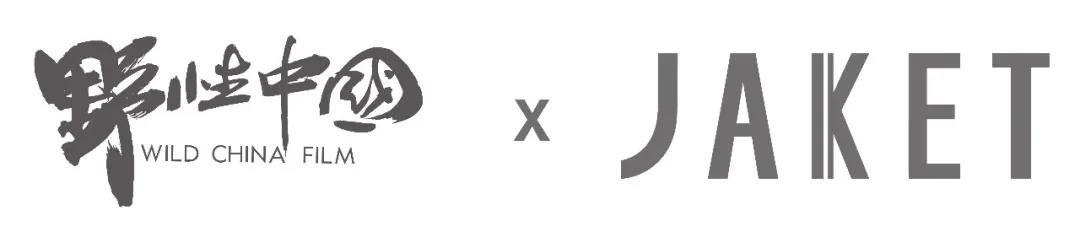 1587881913881382.jpg